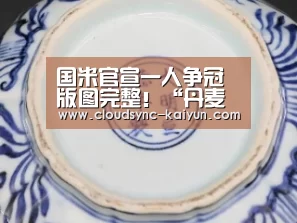 国米官宣一人争冠版图完整!“丹麦球王”究竟能带给国米什么?-开云下载网址(图1) 开元