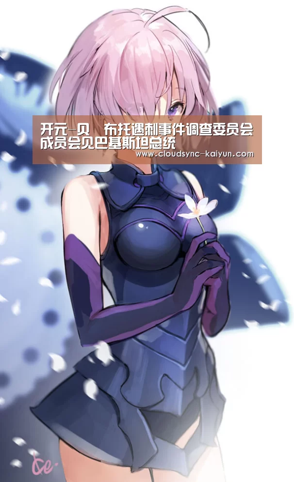 开元-贝•布托遇刺事件调查委员会成员会见巴基斯坦总统(图1) 开元