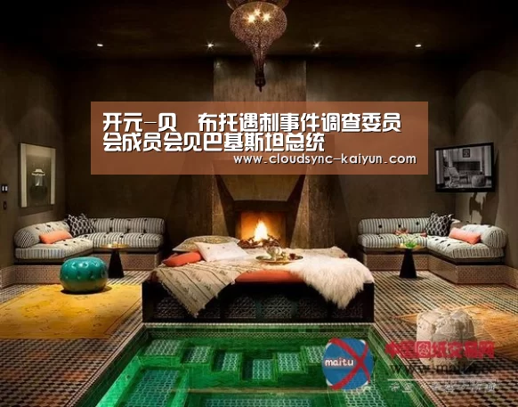 开元-贝•布托遇刺事件调查委员会成员会见巴基斯坦总统(图3) 开元棋牌