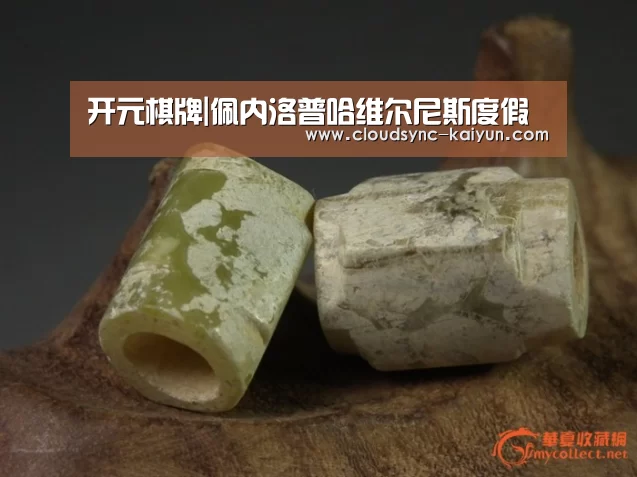 开元棋牌|佩内洛普哈维尔尼斯度假(图3) 开云下载网址