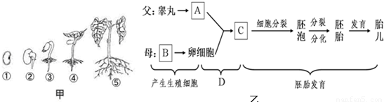 开元-高以翔遗产继承情况 无儿女者去世遗产由谁继承?(图1) 开元棋牌