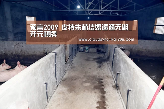 预言2009 皮特朱莉结婚遥遥无期_开元棋牌(图2) 开云下载网址